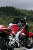 画像3: SUZUKI GSX1300R HAYABUSA -`07 TRエキゾーストシステム 月光メガホン (3)