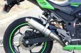 画像3: KAWASAKI Ninja250 `13〜`17 TRエキゾーストシステム ステンレスショートサイレンサー Φ83X250 (3)