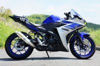 YAMAHA YZF-R25 TRエキゾーストシステム スリップオン ステンレスサイレンサーΦ100x300