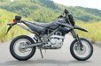 画像1: KAWASAKI D-TRACKER 125 TRエキゾーストシステムスリップオン チタンサイレンサー Φ100X300 (1)