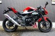 画像1: KAWASAKI Ninja250SL TRエキゾーストシステム チタンサイレンサーΦ100x500mm (1)