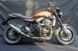 画像1: KAWASAKI Z900RS TRエキゾーストシステム スリップオン ステンレスサイレンサー (1)