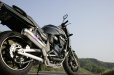 画像3: KAWASAKI ZRX1200DAEG TRエキゾーストシステム 月光メガホン (3)