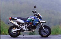 KAWASAKI KSR110 TRエキゾーストシステムMINI ステンレスサイレンサー Φ100X300