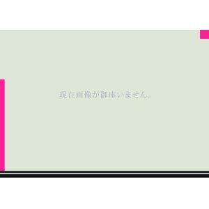 画像: KAWASAKI GPZ1100 TRエキゾーストシステム ステンレスサイレンサー Φ100X500