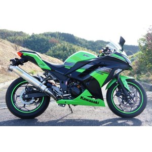 画像: KAWASAKI Ninja250 `13〜`17 TRエキゾーストシステム ステンレスサイレンサー Φ100X500