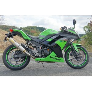 画像: KAWASAKI Ninja250 `13〜`17 TRエキゾーストシステム スリップオン チタンサイレンサー Φ100X500