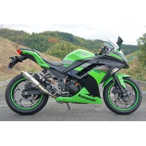 画像: KAWASAKI Ninja250 `13〜`17 TRエキゾーストシステム スリップオン ステンレスショートサイレンサー Φ83X250