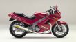 画像1: KAWASAKI ZZ-R250 TRエキゾーストシステム ステンレスサイレンサー Φ100X400