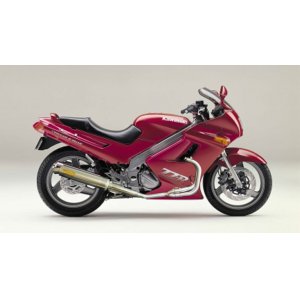 画像: KAWASAKI ZZ-R250 TRエキゾーストシステム チタンサイレンサー Φ100X400