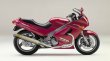 画像1: KAWASAKI ZZ-R250 TRエキゾーストシステム チタンサイレンサー Φ100X500