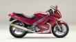 画像1: KAWASAKI ZZ-R250 TRエキゾーストシステム ステンレスサイレンサー Φ100X500