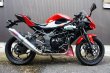 画像1: KAWASAKI Ninja250SL TRエキゾーストシステム チタンサイレンサーΦ100x500mm