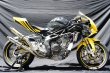 画像1: 【HRC車専用】HONDA CBR250RR TRエキゾーストシステム ステンレスショートサイレンサー ２本出し