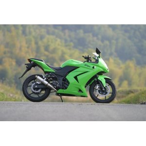 画像: KAWASAKI Ninja 250R TRエキゾーストシステム ステンレスサイレンサー Φ83X250